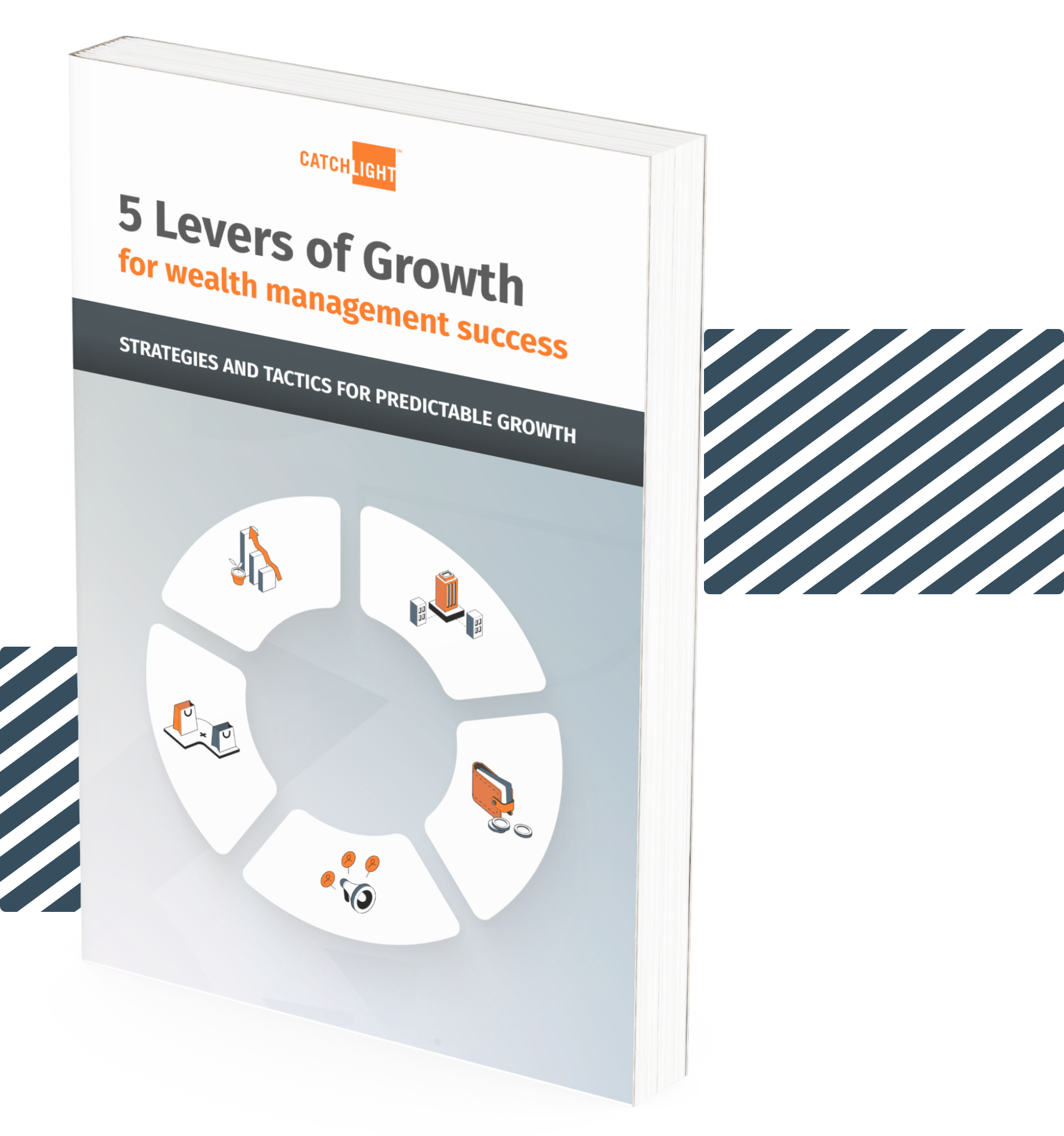 5 Levers of Growth eBook Image-1